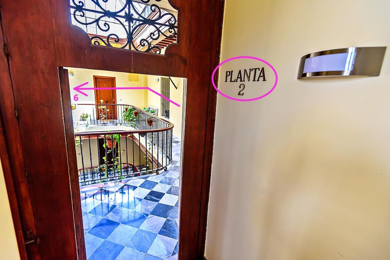 Apartment Ribera De Luxe With Ascensor