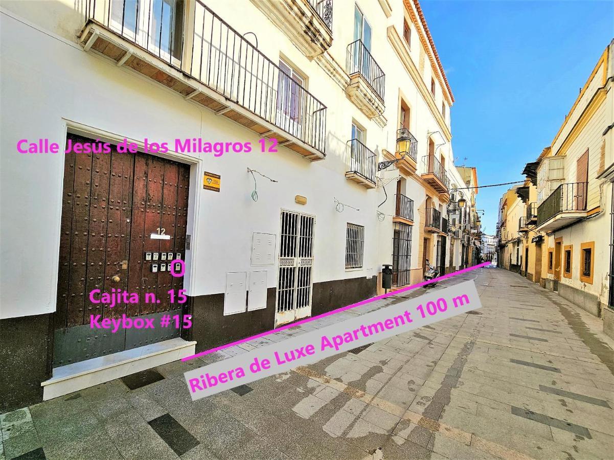 Ribera De Luxe With Ascensor Apartment *